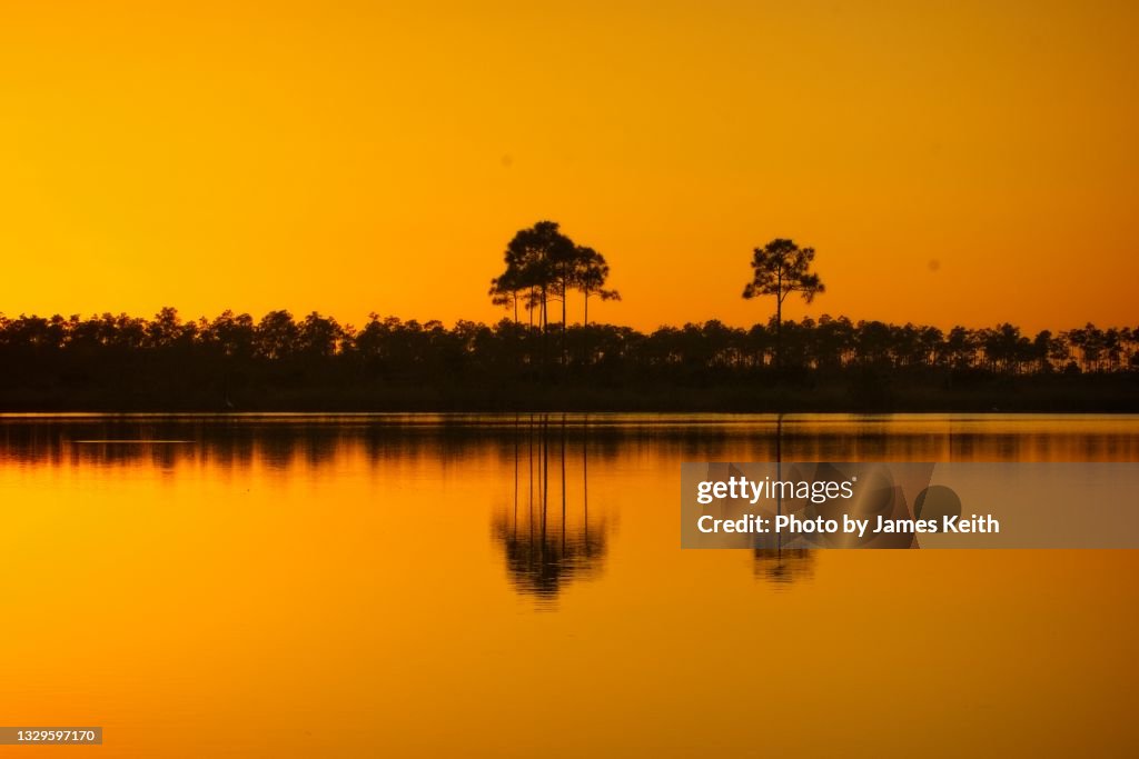 Everglades Sunset