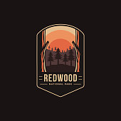 Emblem patch vector illustration of Redwood National Park on dark background