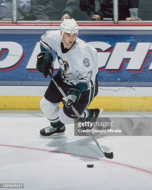 Pavel Trnka, Defenseman for the Mighty Ducks of Anaheim in motion on the ice during the NHL Western Conference, Pacific Division game against the...