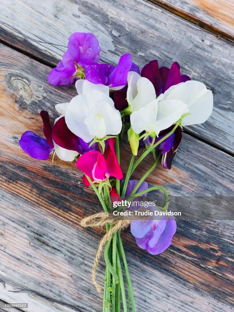 Sweetpeas