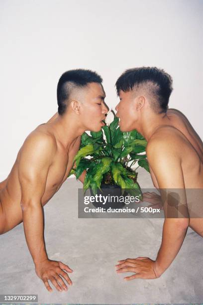 side view of shirtless man kissing a flower in between them,vietnam - belt stockfoto's en -beelden