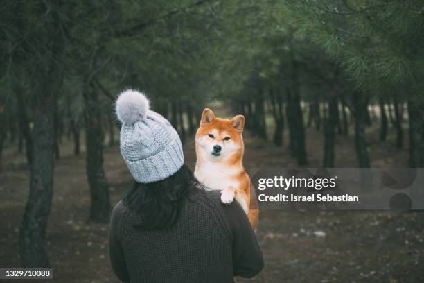 view from behind of a young unrecognizable woman holding her shiba inu dog in her arms in the forest. - shiba inu adult stock pictures, royalty-free photos & images