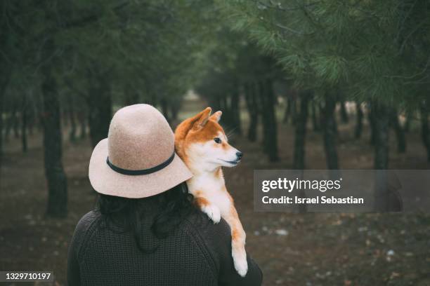 view from behind of a young unrecognizable woman holding her shiba inu dog in her arms in the forest. - shiba inu adult stock pictures, royalty-free photos & images