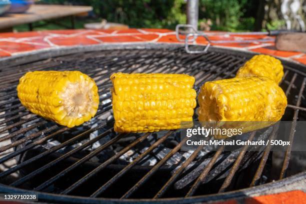 close-up of meat on barbecue grill - michael gerhardt stock pictures, royalty-free photos & images