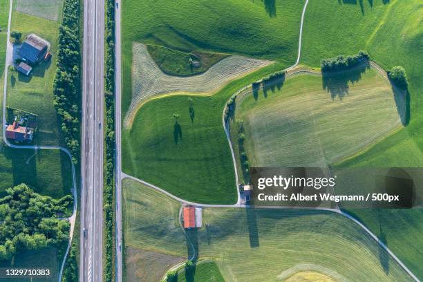 aerial view of agricultural field,switzerland - grass von oben stock pictures, royalty-free photos & images