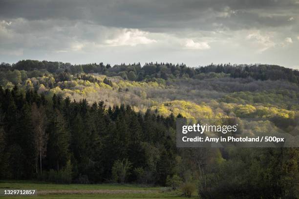 scenic view of forest against sky,hessen,germany - rhön stock-fotos und bilder