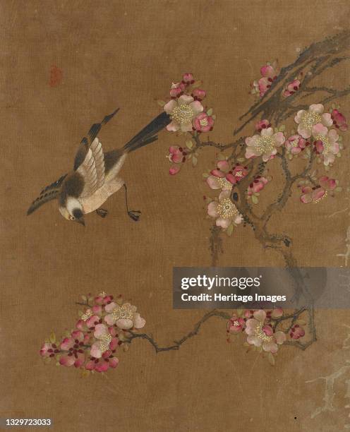 Birds and Flowers, Ming dynasty, 1368-1644. Artist Unknown.