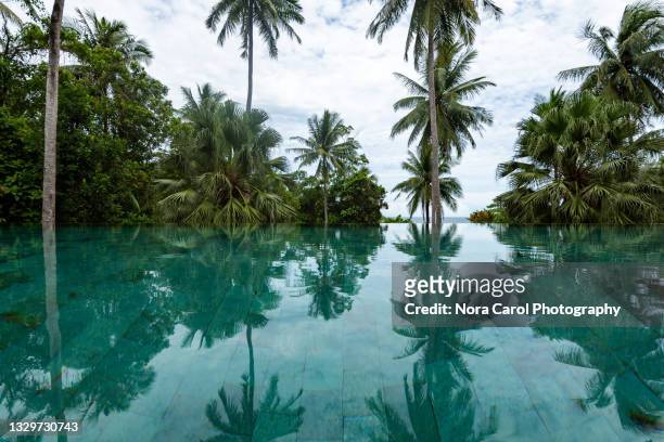tropical infinity swimming pool - rainforest garden stock-fotos und bilder