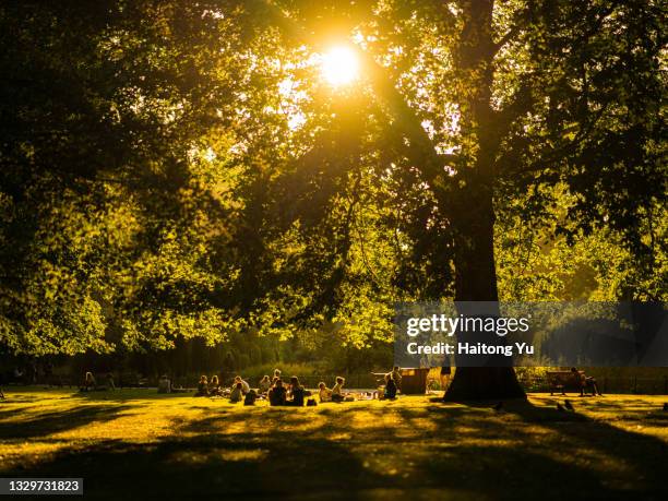 sunset at hyde park, london - hyde park londen stockfoto's en -beelden