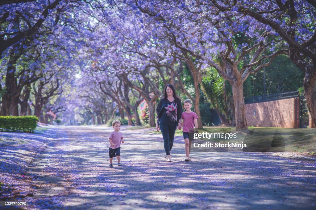 A family of three walk playfully in a street full of purple flowers in spring time