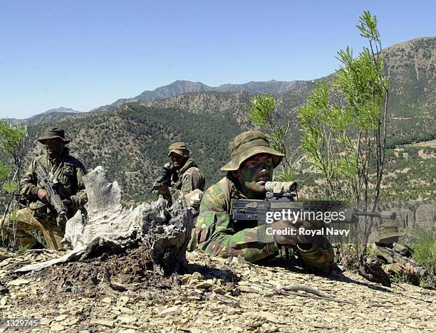 Royal Marines of 45 Commando based at Arbroath Scotland patrol for suspected al Qaeda and Taliban members during Operation Condor May 20, 2002 in...