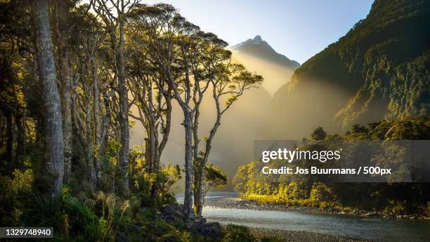scenic view of lake amidst trees against sky,fiordland national park,new zealand - neuseeland stock-fotos und bilder
