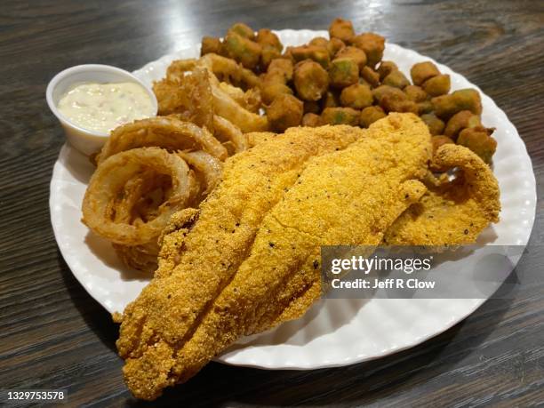 fried plate with onion rings - fried catfish stock pictures, royalty-free photos & images