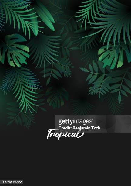 illustrazioni stock, clip art, cartoni animati e icone di tendenza di sfondo tropicale con foglie di palma - clima tropicale