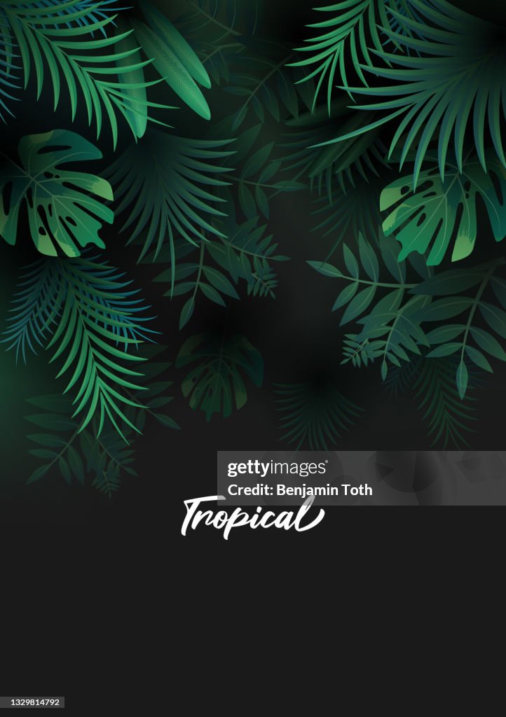 Tropical background with palm leaves