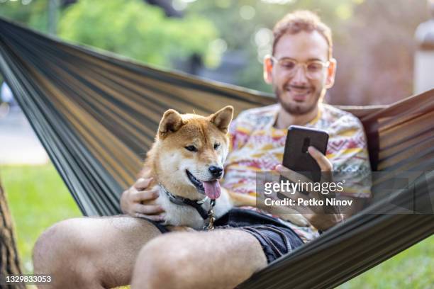 relaxing in the park - shiba inu adult stock pictures, royalty-free photos & images