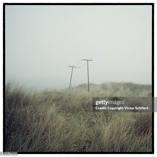 dunes - vlieland stock pictures, royalty-free photos & images