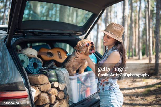 young woman and her dog standing in a full trunk ready for a camping - muzzle human stock pictures, royalty-free photos & images