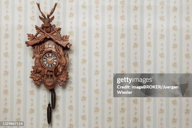 old black forest cuckoo clock in front of old-fashioned wallpaper wall, text free space, germany - kuckucksuhr stock-fotos und bilder