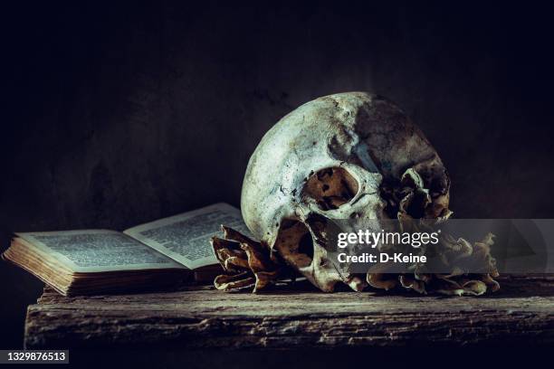 skull - death photos stockfoto's en -beelden