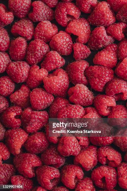 bowl with raspberries on a blue background - raspberry fotografías e imágenes de stock