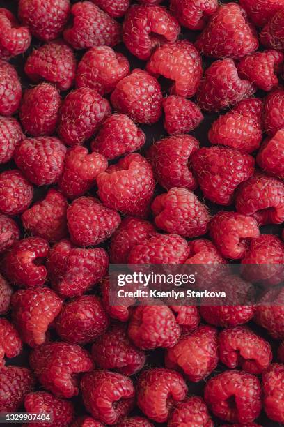 bowl with raspberries on a blue background - raspberry stockfoto's en -beelden
