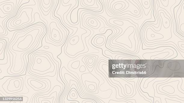 stockillustraties, clipart, cartoons en iconen met abstract topographic lines - fysische geografie