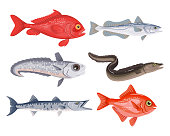 Set of different cartoon fish on white background. Seafood collection.