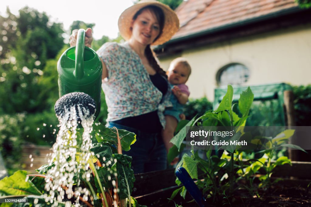 Mother and baby girl watering own organic garden.