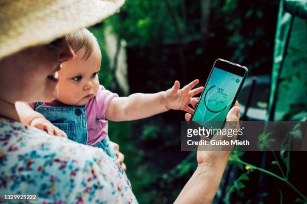 woman looking at mobile phone with watering analysing app for growh conditions. - baby stock photos et images de collection
