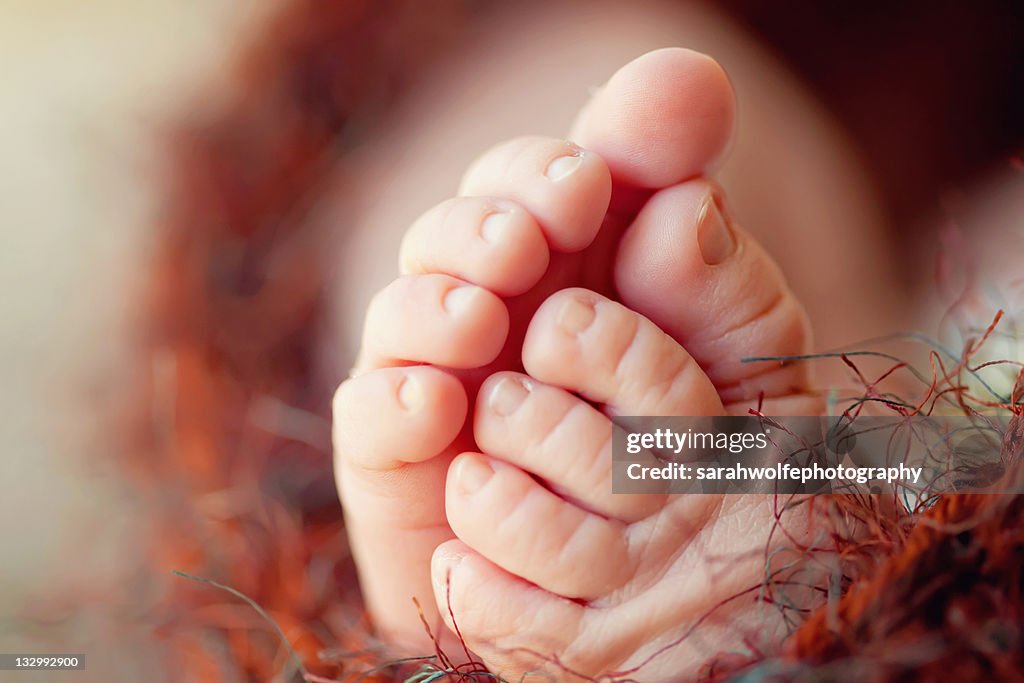 Baby toes