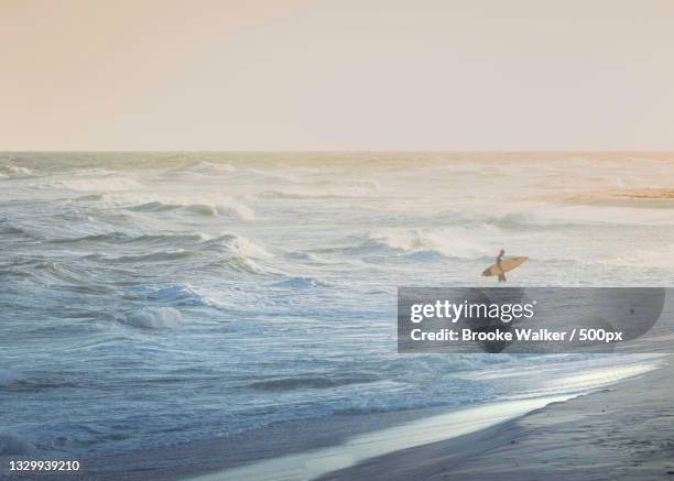 scenic view of sea against clear sky during sunset,pensacola,florida,united states,usa - pensacola beach stockfoto's en -beelden