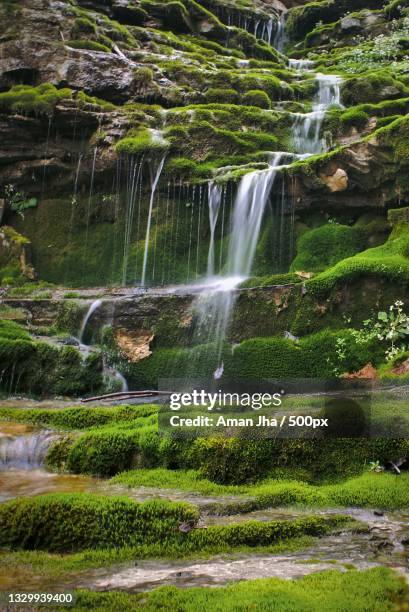 scenic view of waterfall in forest,kentucky river,kentucky,united states,usa - kentucky landscape stock pictures, royalty-free photos & images