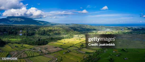 landscape of rice paddy fields facing the sea in bali - indonesia aerial stock pictures, royalty-free photos & images