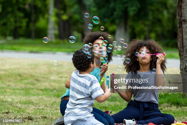 happy african-american family is having a picnic in a park and blowing a bubbles. - bubbles happy stockfoto's en -beelden