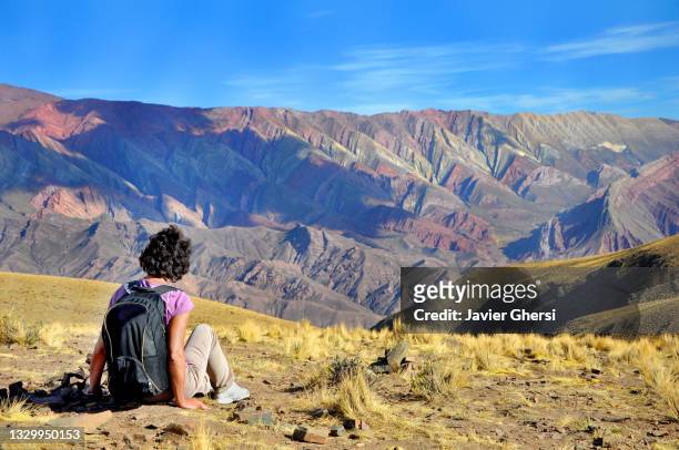 young woman looking at the landscape. serranía de hornocal, humahuaca, jujuy, argentina. - altiplano stock pictures, royalty-free photos & images