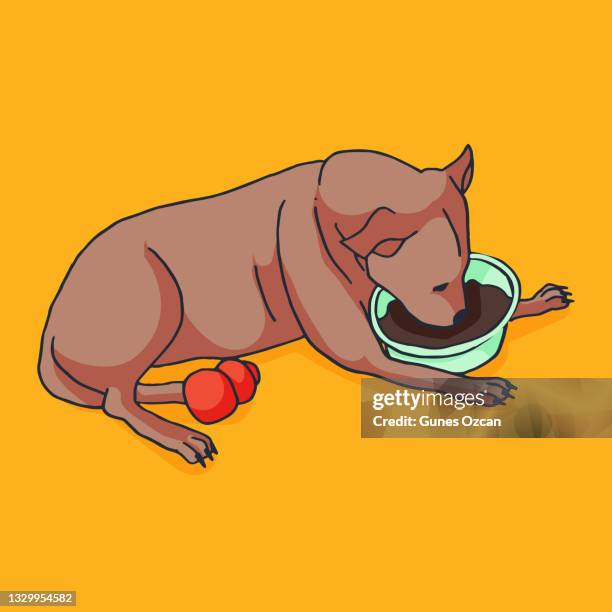 91 Cartoon Dog Bowl Photos and Premium High Res Pictures - Getty Images 91 Cartoon Dog Bowl Photos and Premium High Res Pictures - Getty Images