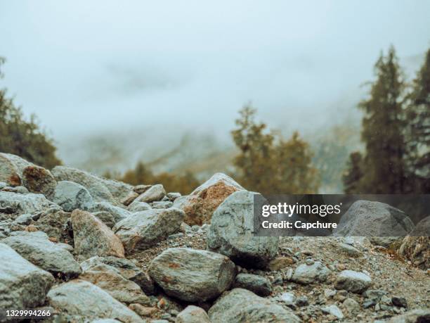 close up of a forest floor and textures on a mountain footpath. - roca fotografías e imágenes de stock