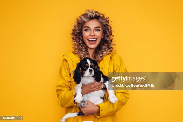 studio portrait von lächelnden jungen frau halten liebevolle haustier - woman holding dog studio stock-fotos und bilder