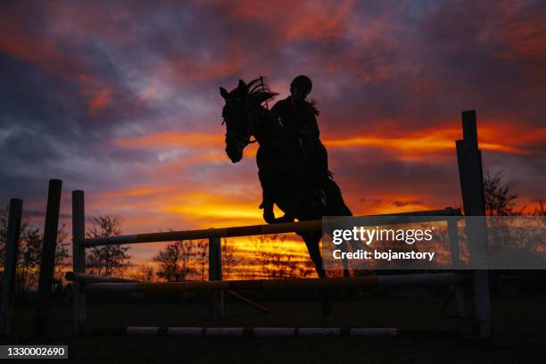 young female jockey on horse leaping over hurdle outdoors with wonderful sunset in background - horse jumping stock pictures, royalty-free photos & images