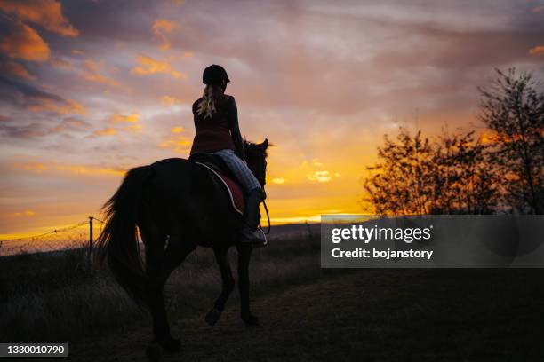 young female jockey riding horse at wonderful sunset - racehorse owner stock pictures, royalty-free photos & images