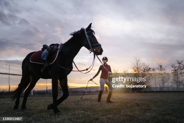 jóquei feminino treina um cavalo ao ar livre - spring training - fotografias e filmes do acervo