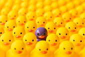 Large group of yellow rubber ducks in formal rows with one different individual duck which is standing out from the crowd being purple in color.