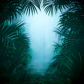 Misty jungle nature frame