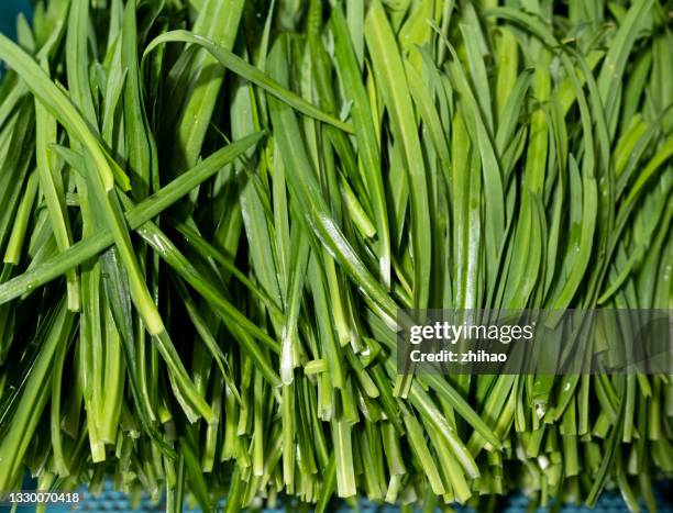 chives - chive stock pictures, royalty-free photos & images