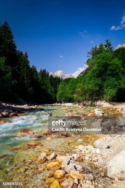 river soča, eslovenia - eslovenia stock pictures, royalty-free photos & images