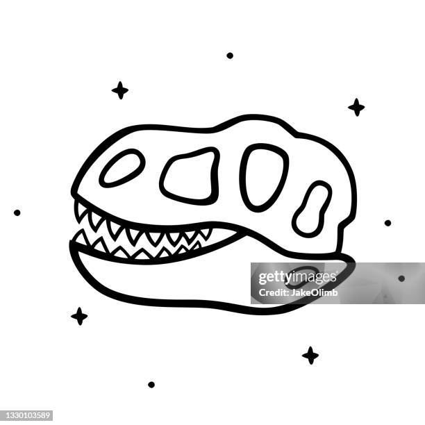 dinosaur skull doodle 5 - dinosaur drawing stock illustrations