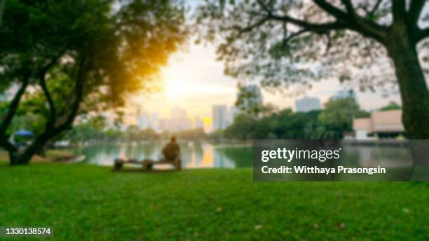 blurred park, natural background - park foto e immagini stock