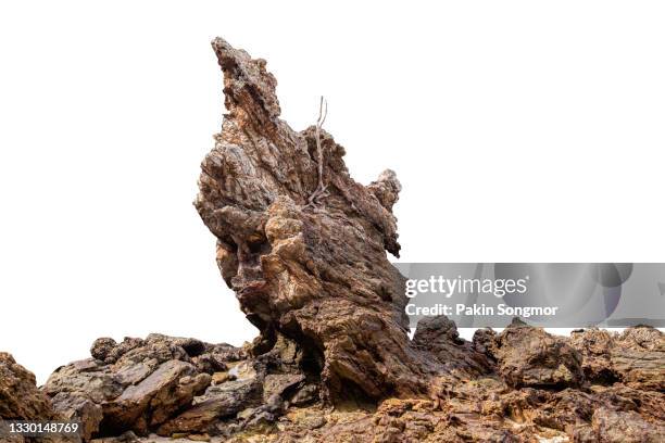 big piece of coarse rock with scratches and patterns isolated on white background. - bouldern indoor stock pictures, royalty-free photos & images