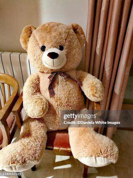 giant teddybear - teddybär stock-fotos und bilder